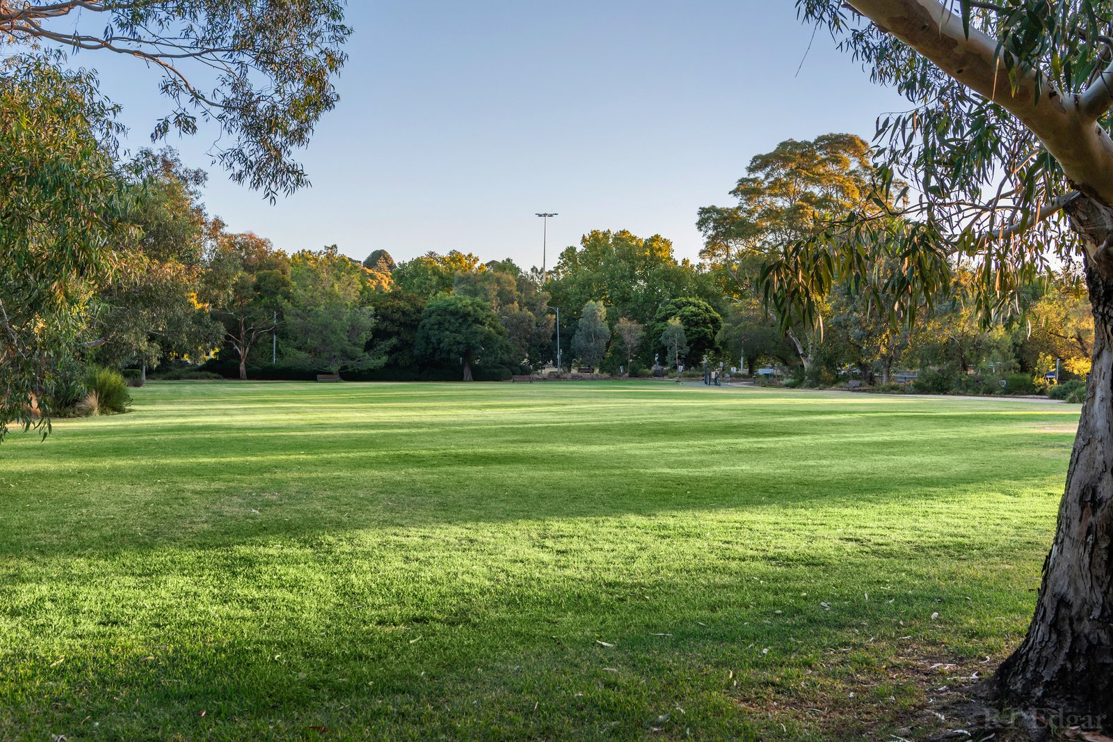 Real Estate and Property in 5 Vista Grove, Toorak, VIC