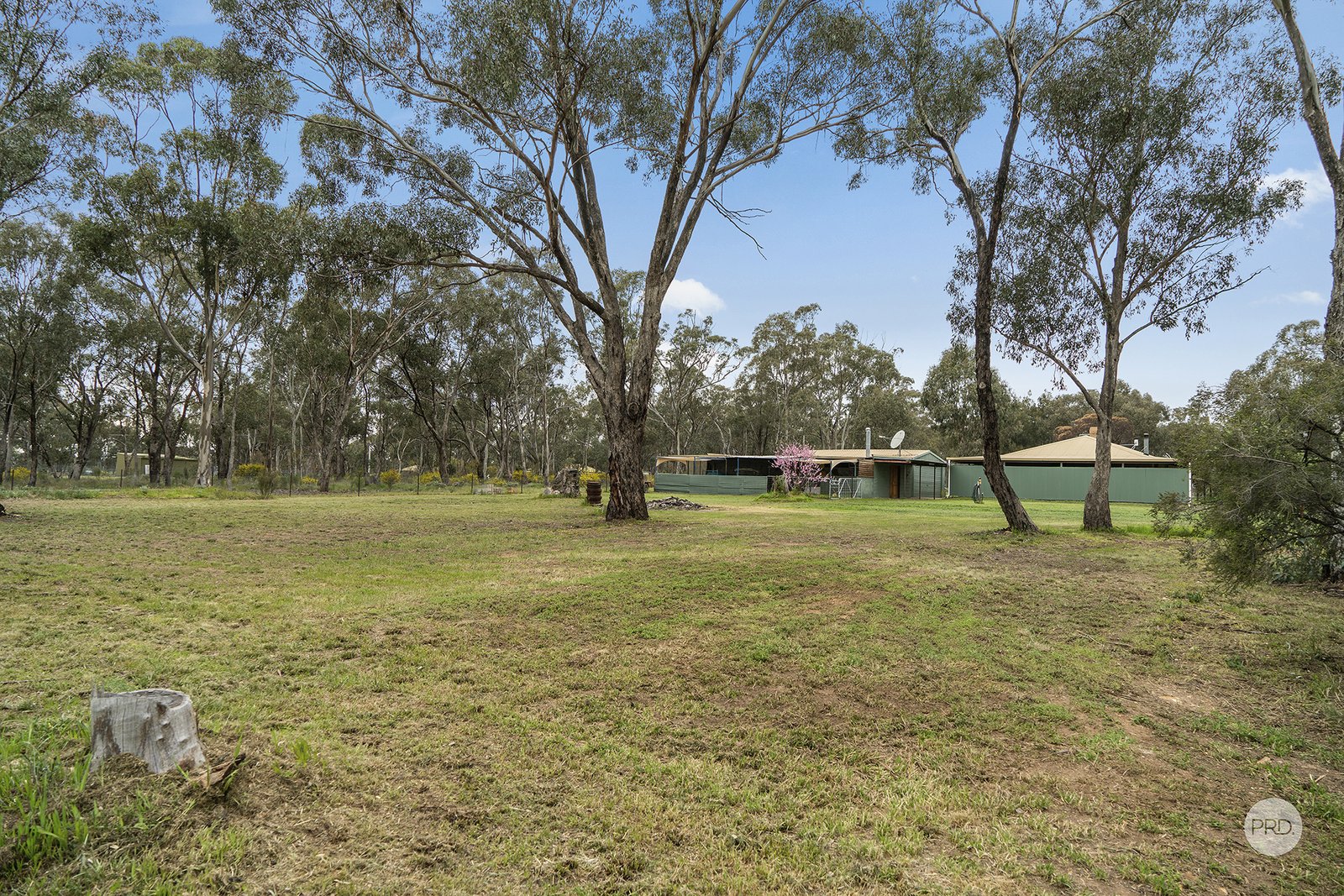 5 Warde Street GOORNONG 15