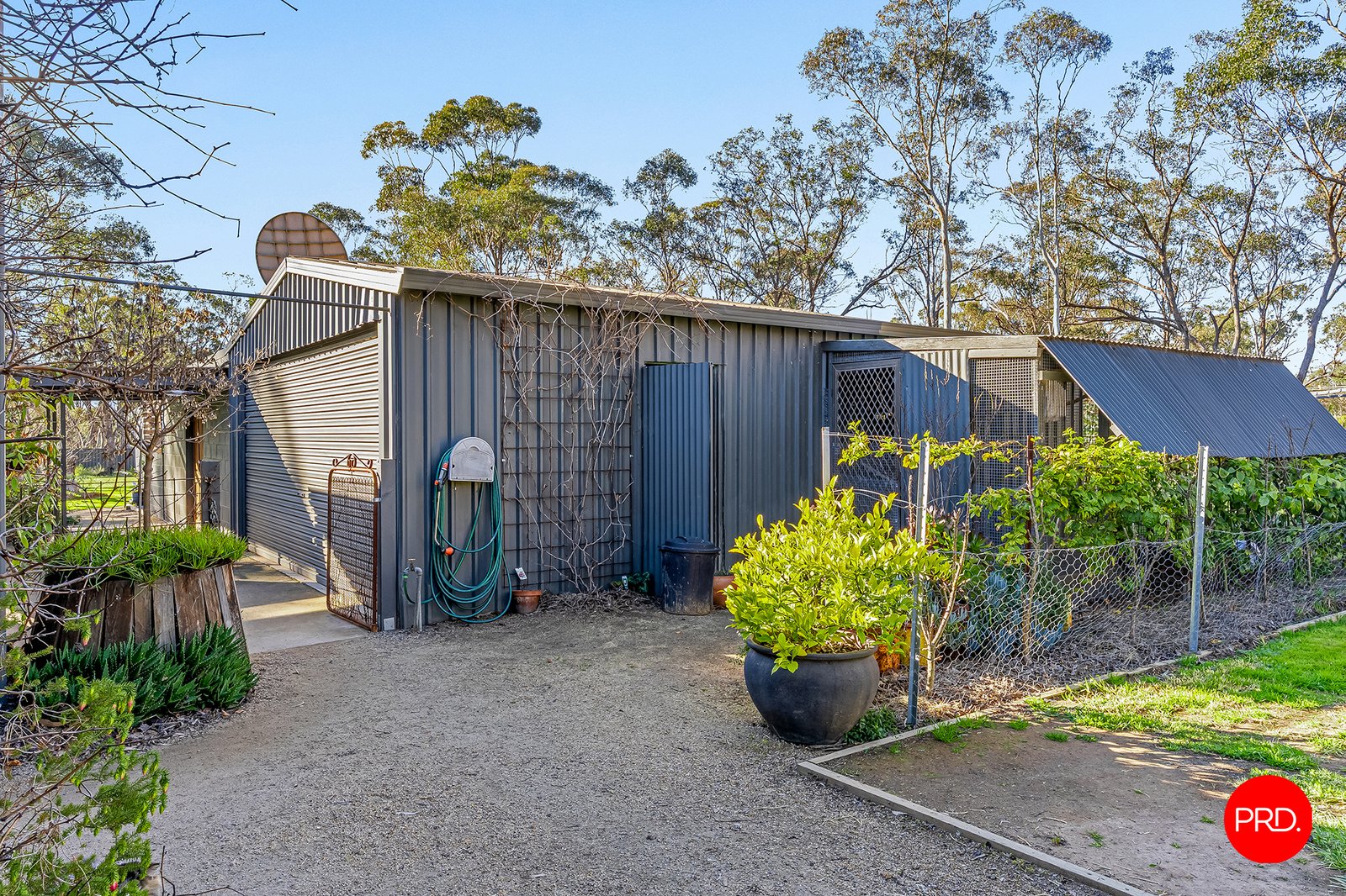 5 Warde Street GOORNONG 17