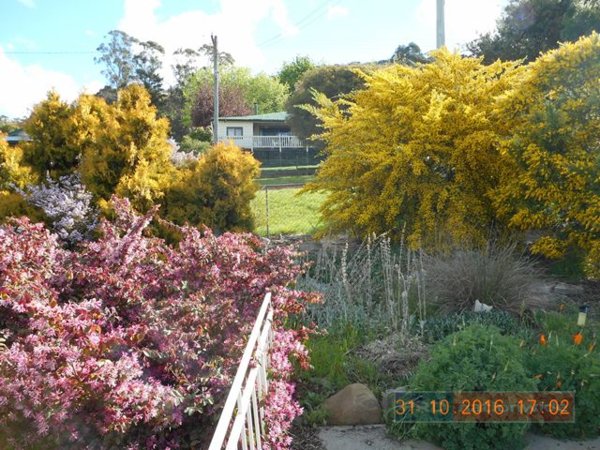 5 Wattle Street BATLOW 23