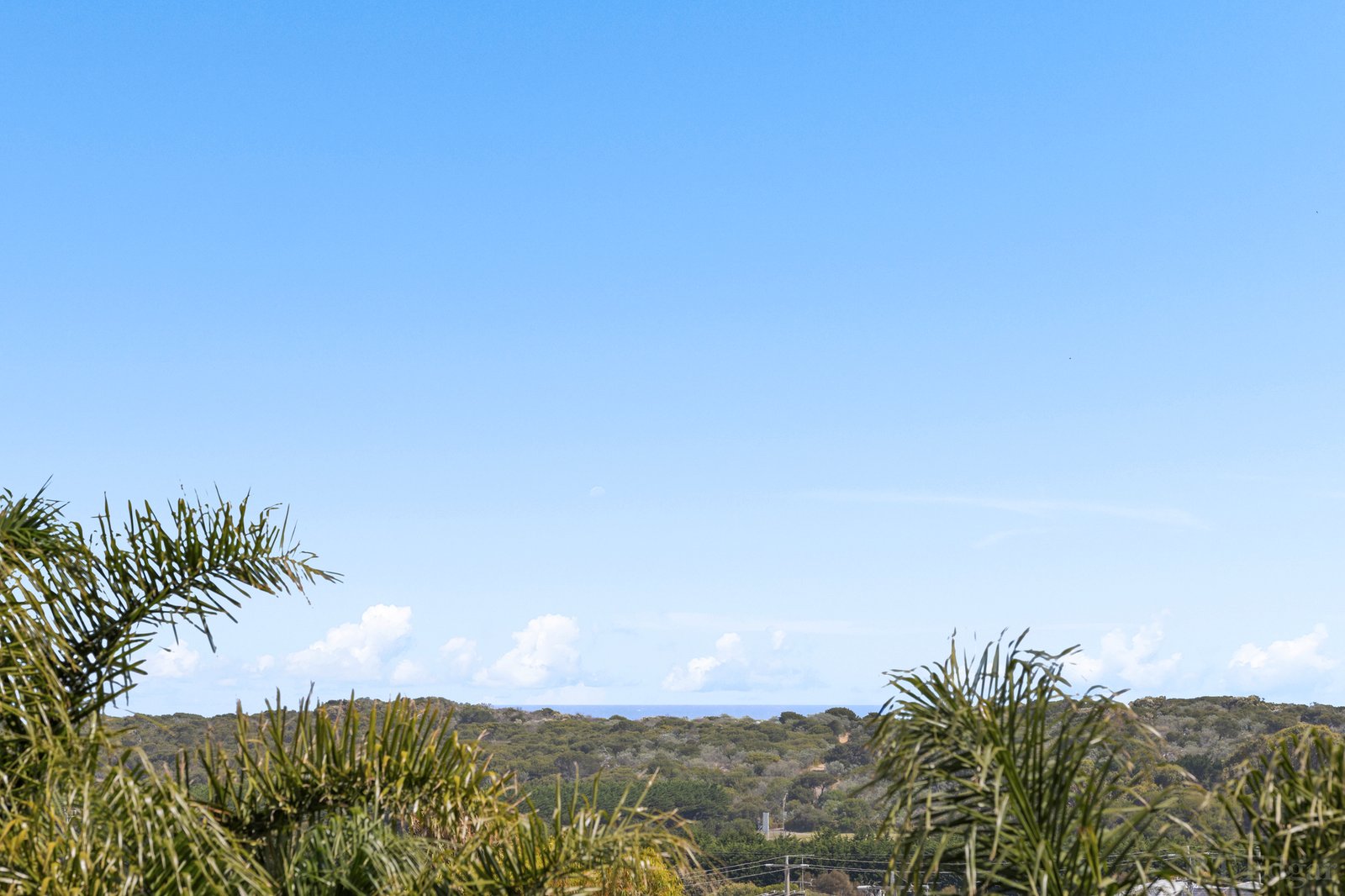 Real Estate and Property in 5 Westbury Court, Ocean Grove, VIC