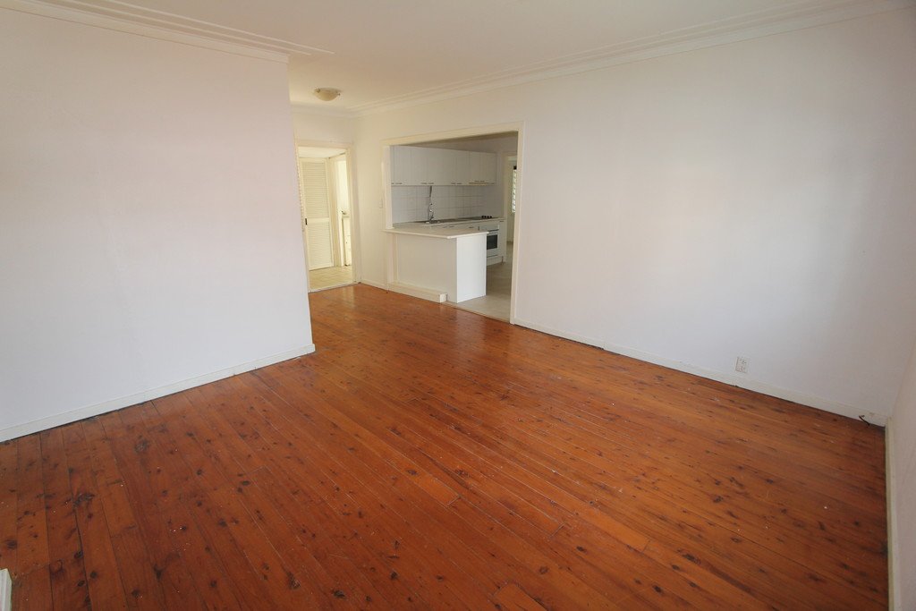 5 Wilson Street LABRADOR 4