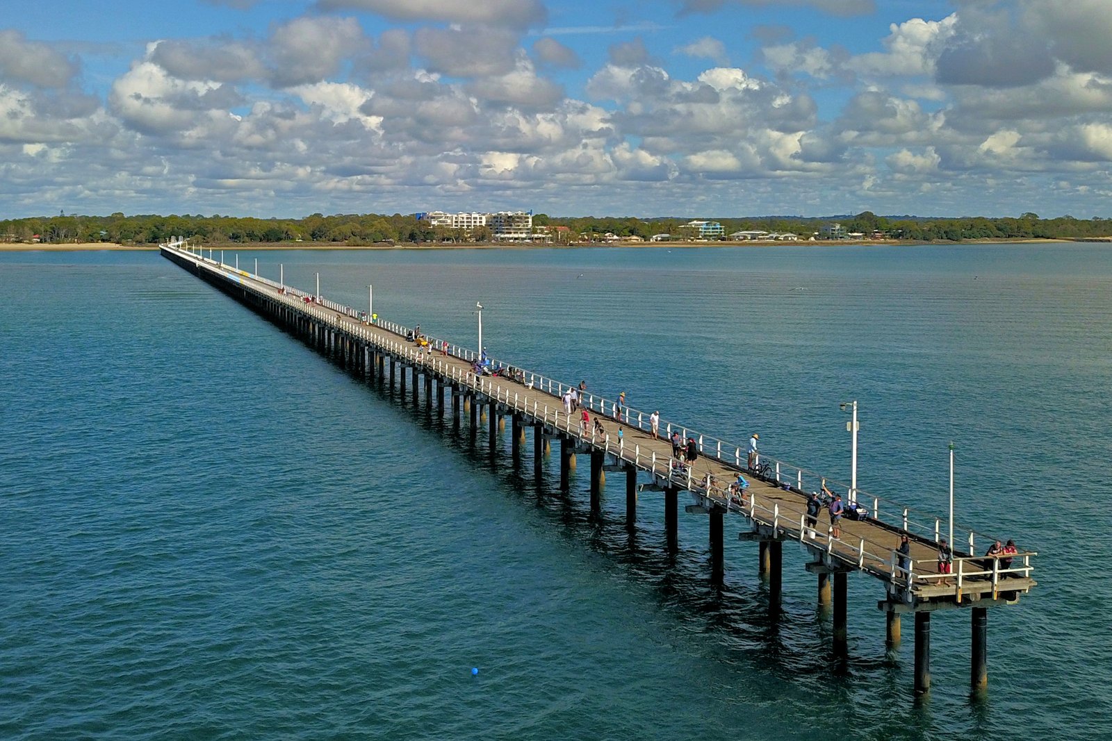 50 Bay Park Road WONDUNNA 33