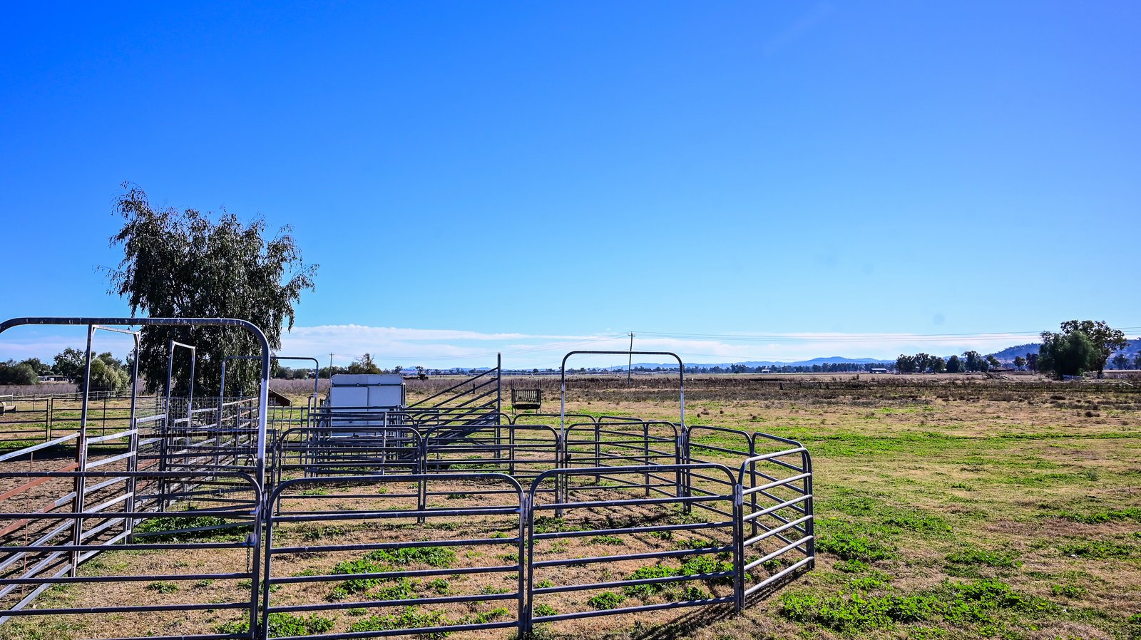 50 Flinders Street TAMWORTH 1