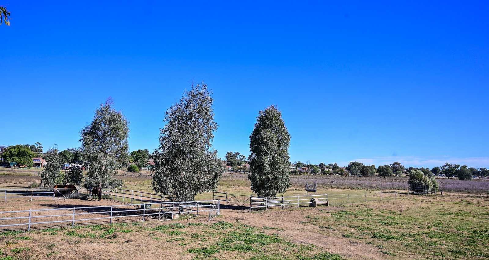 50 Flinders Street TAMWORTH 26