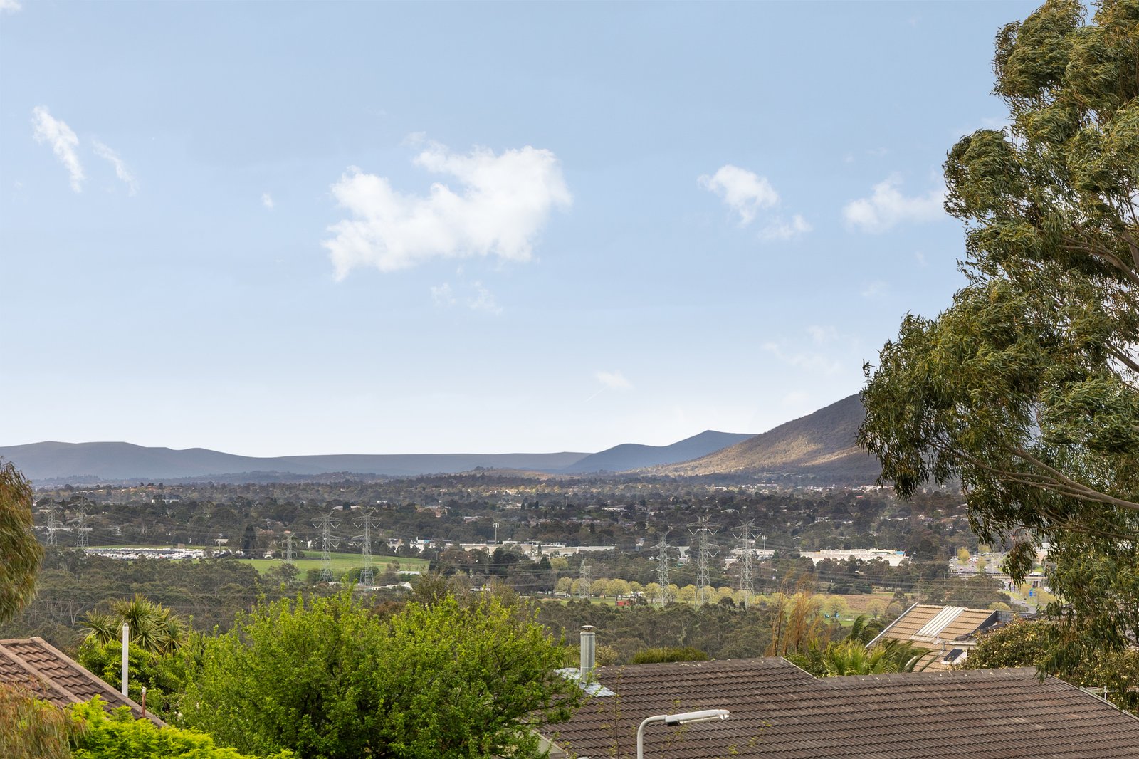 Gallery: 50 Grandview Road