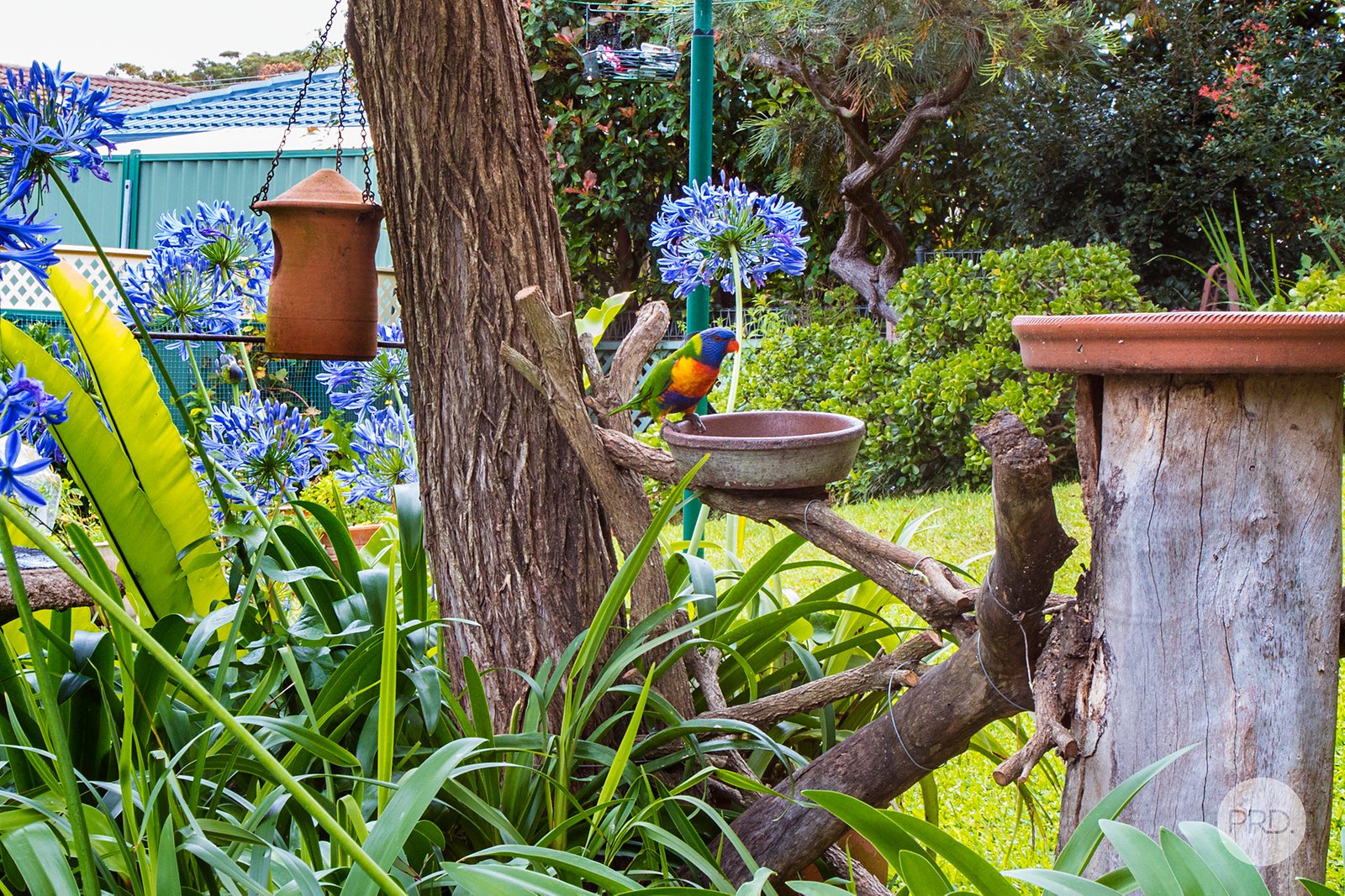 50 Horace Street SHOAL BAY 20