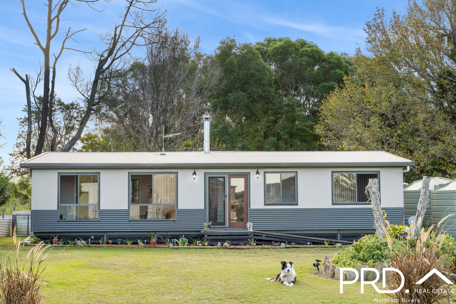 50 Houghwood Road BORA RIDGE 1