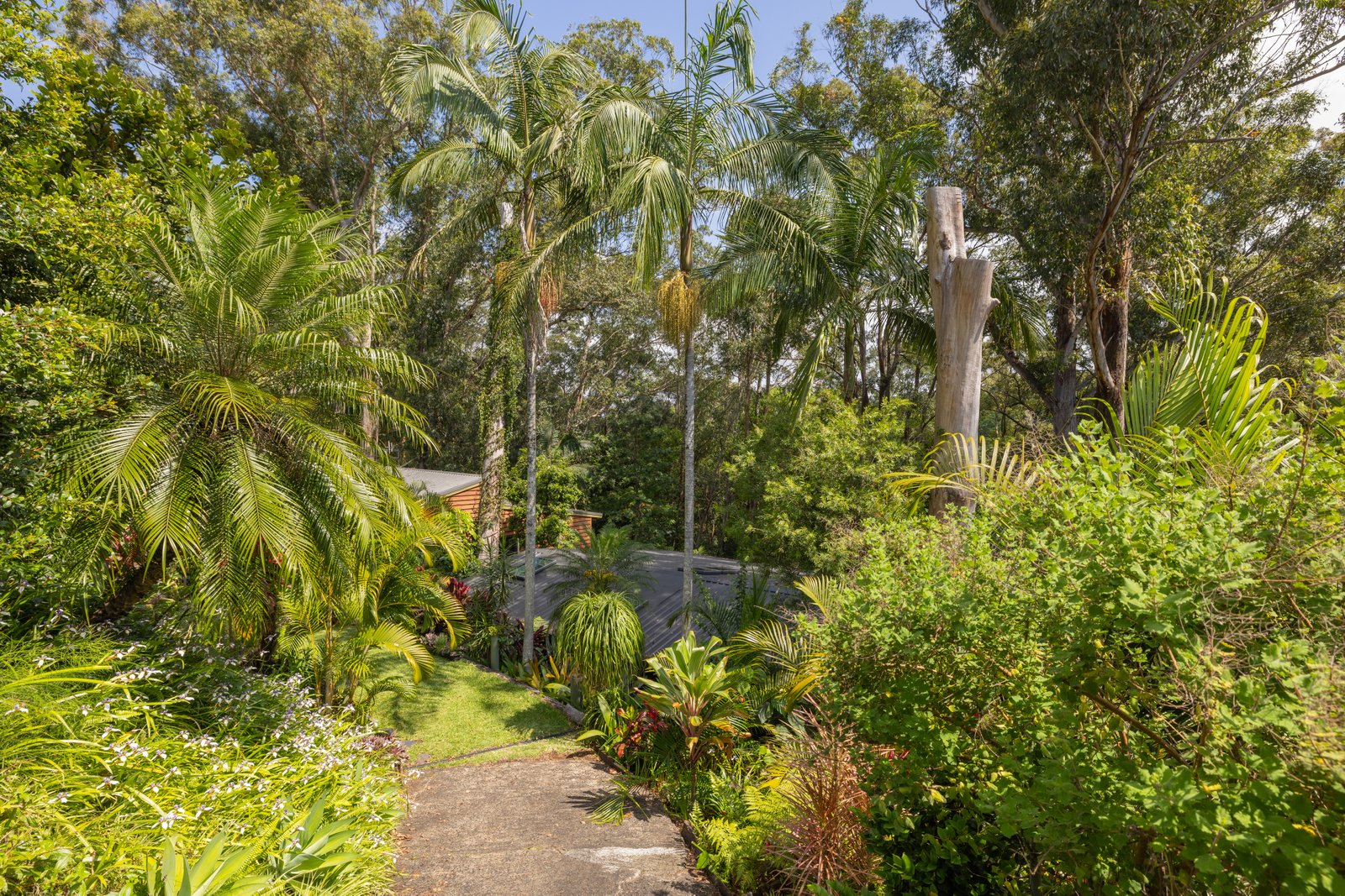 50 Lalina Avenue TWEED HEADS WEST 27