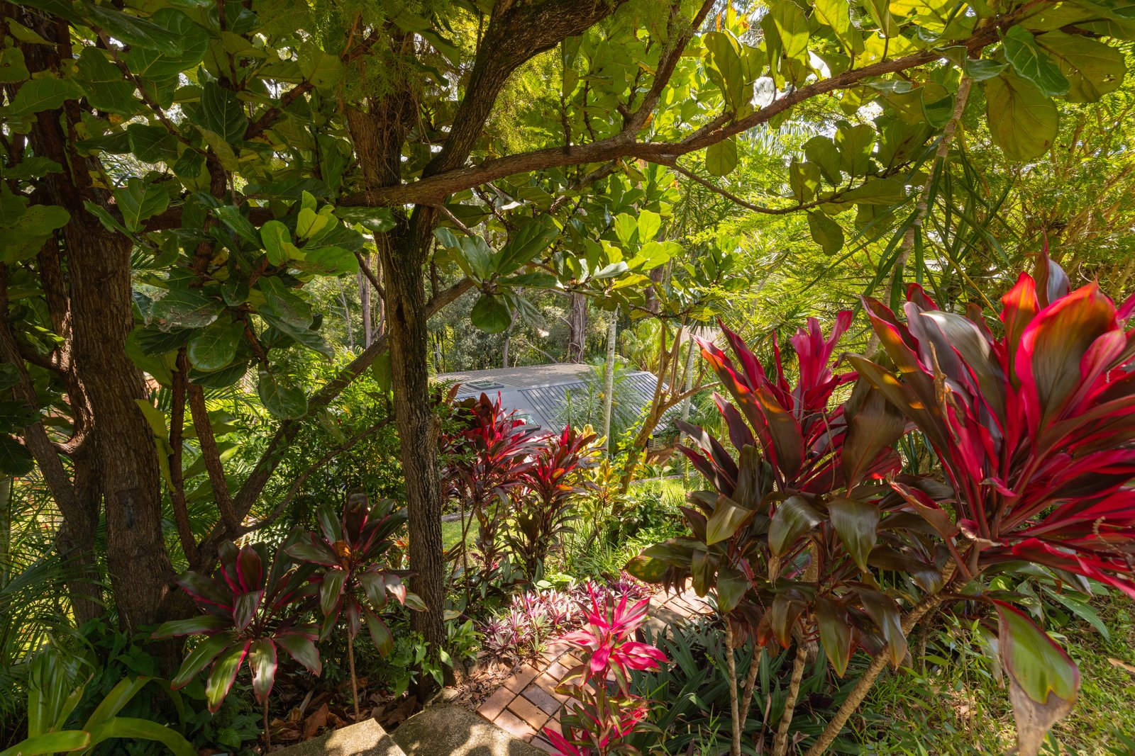 50 Lalina Avenue TWEED HEADS WEST 29