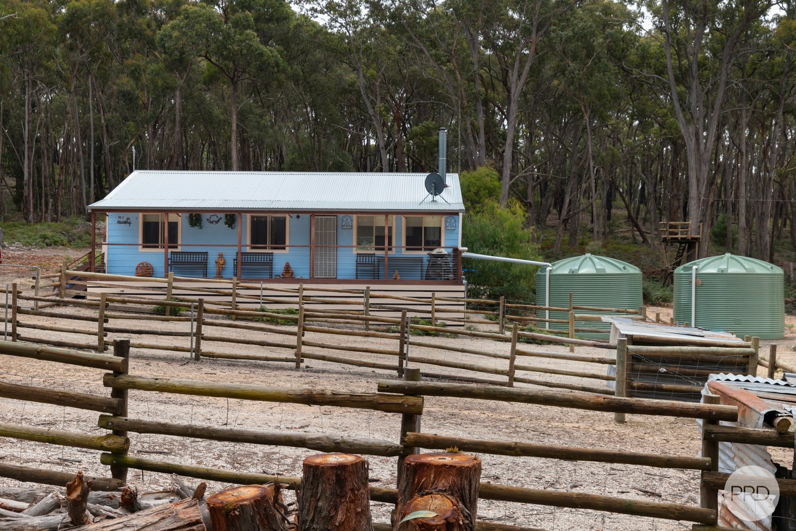 50 McCallum Road SCARSDALE 3