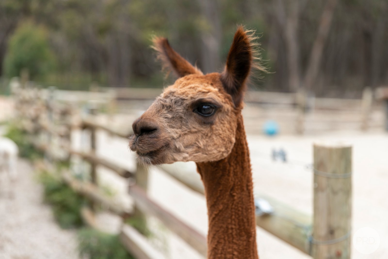 50 McCallum Road SCARSDALE 14