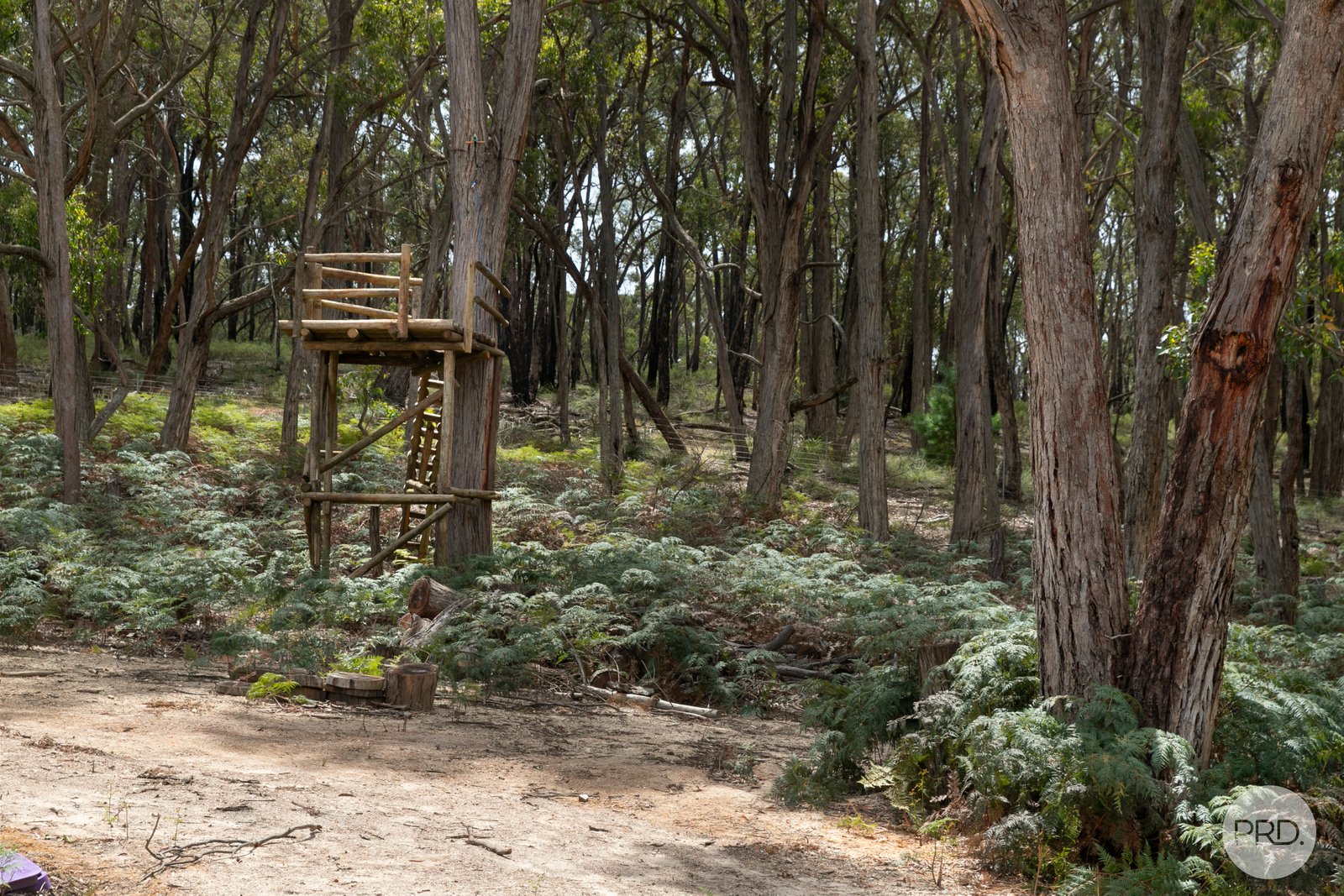 50 McCallum Road SCARSDALE 18