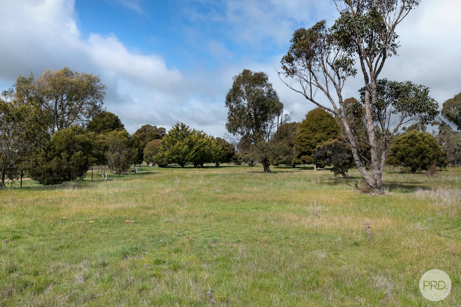 50 McDonalds Road CLUNES 19