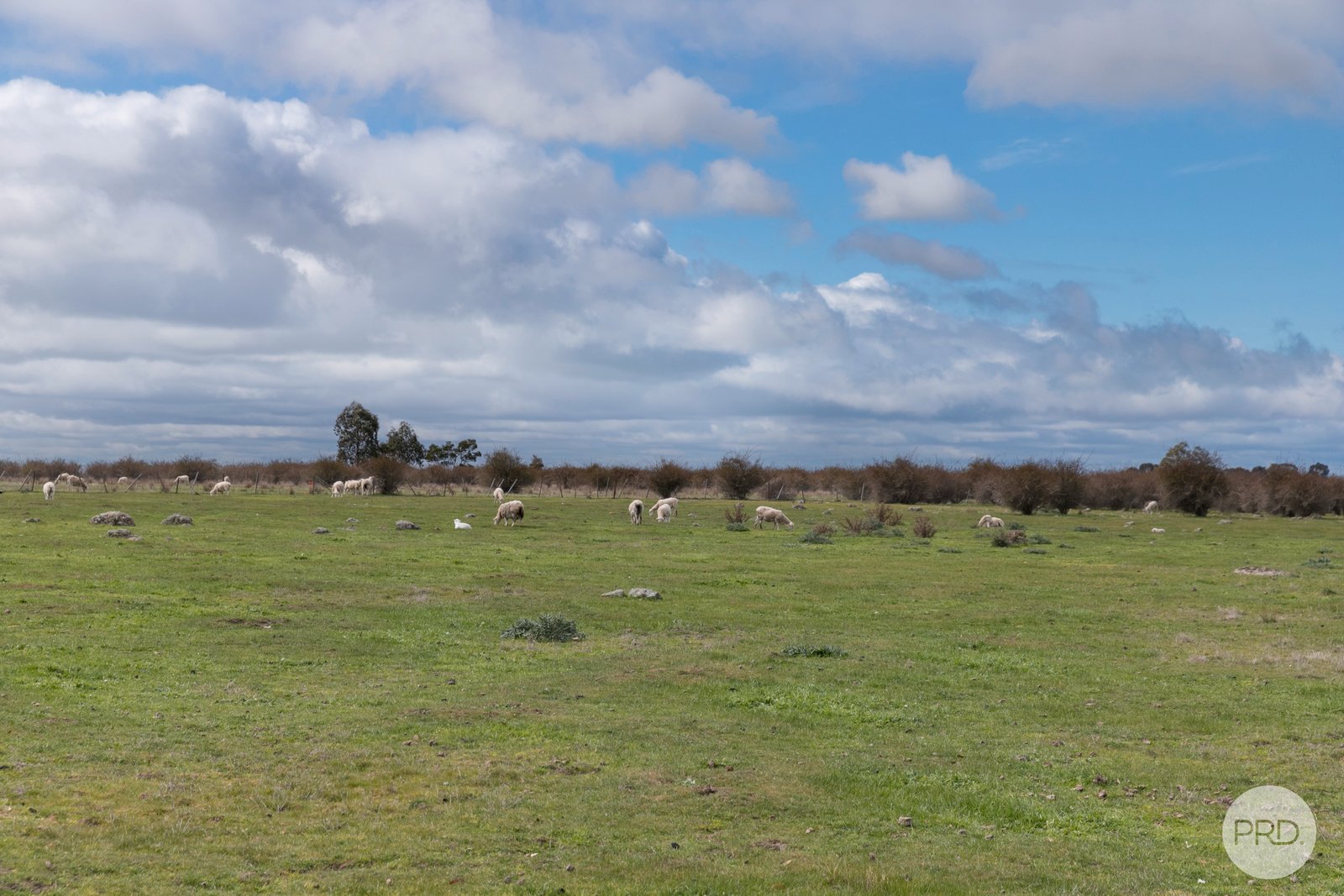 50 McDonalds Road CLUNES 21