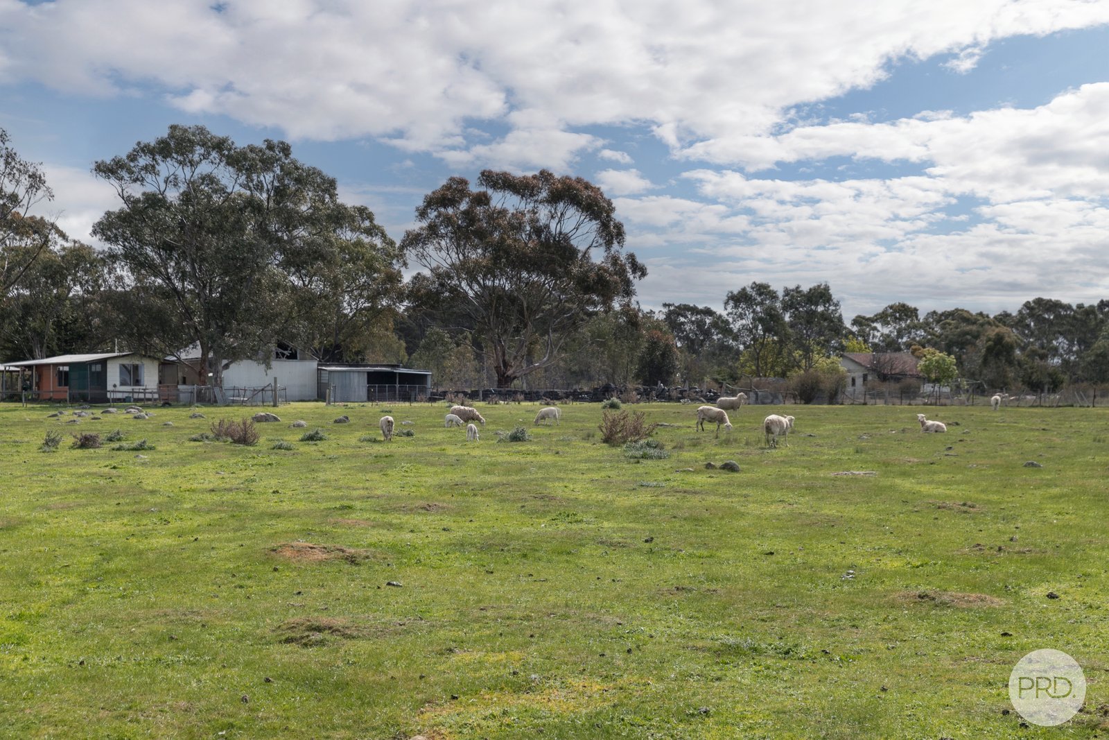 50 McDonalds Road CLUNES 22