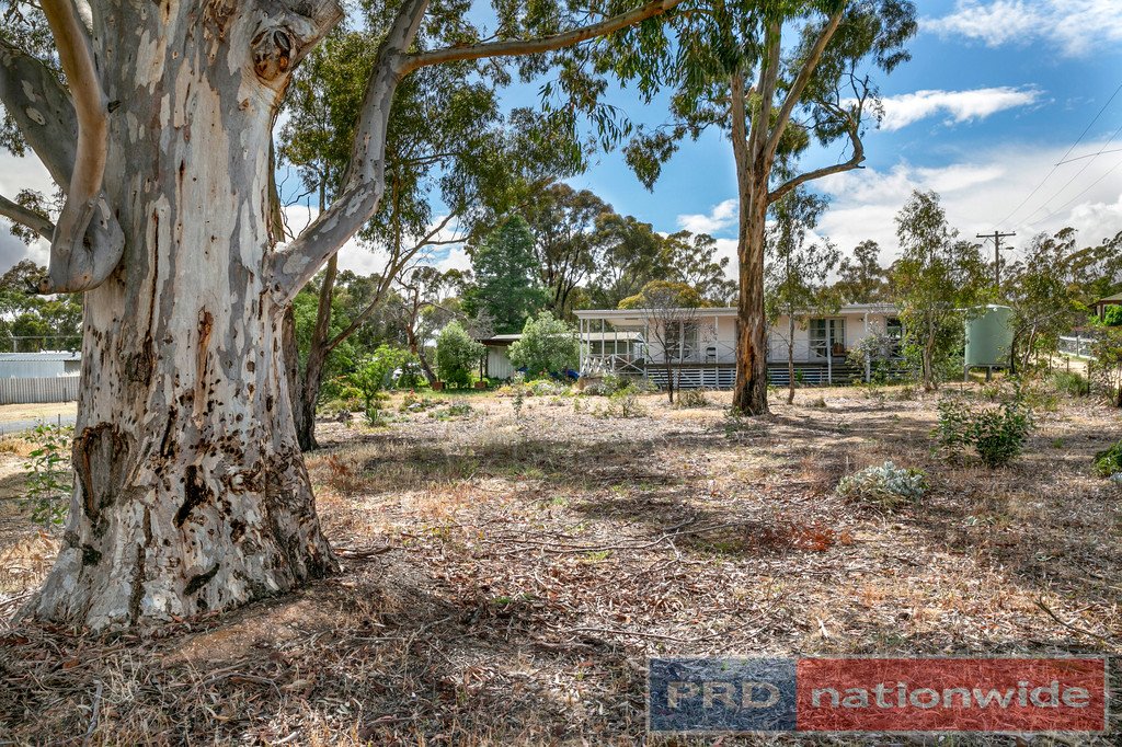 50 North Street AVOCA 3