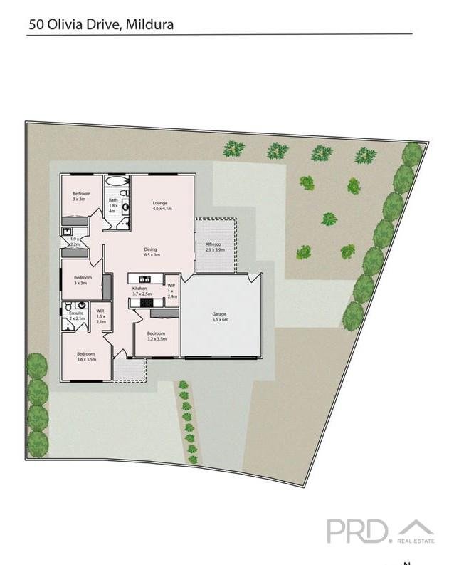 50 Olivia Drive MILDURA 14