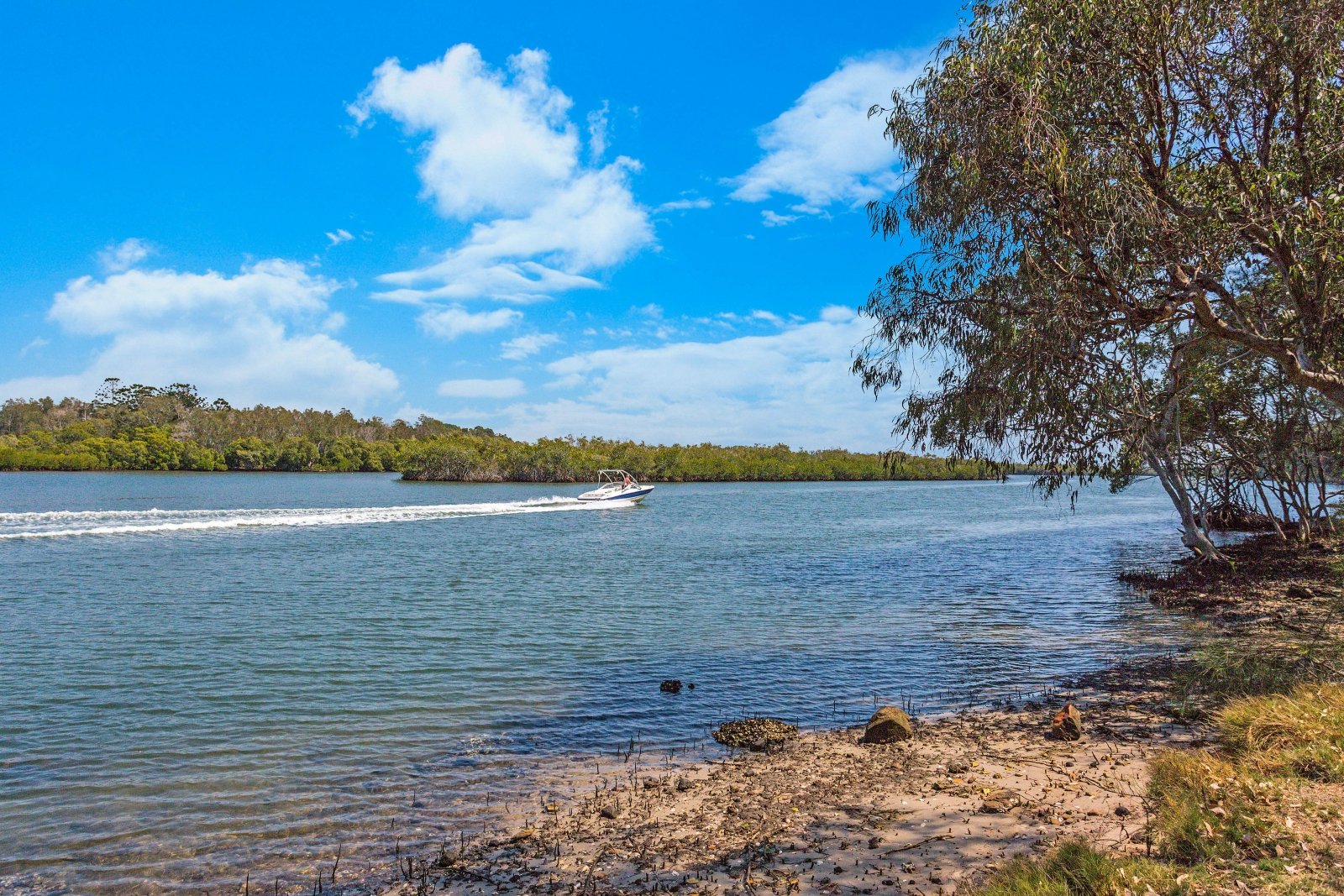 50 Plover Place TWEED HEADS WEST 16