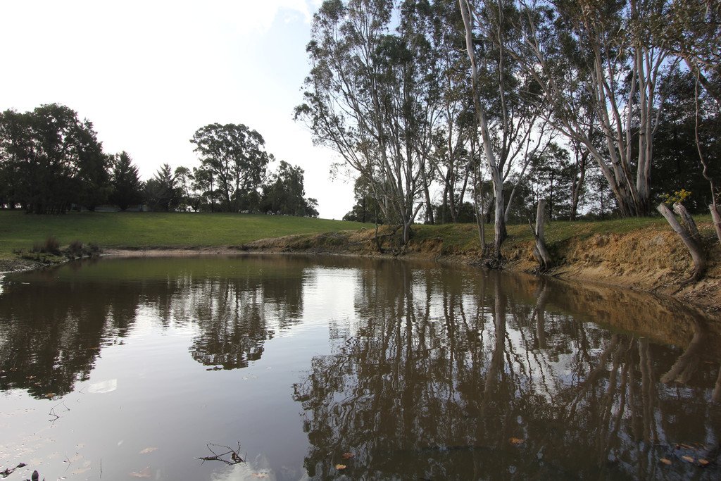 50 Riflerange Road LEXTON 3