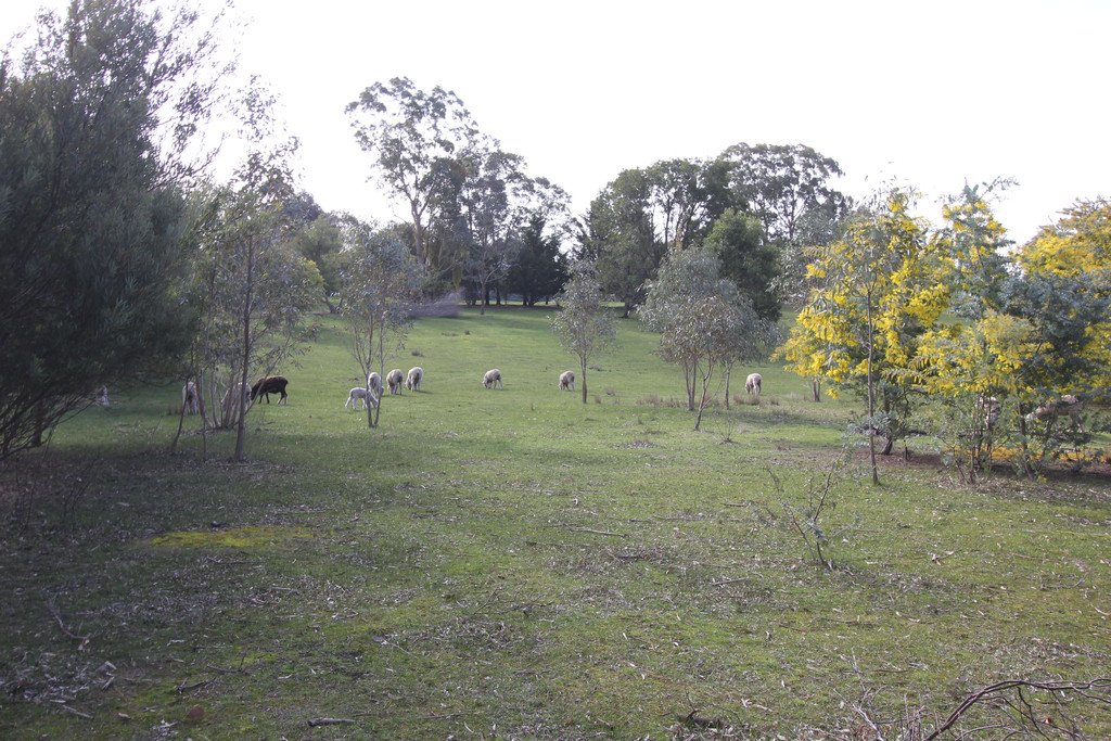 50 Riflerange Road LEXTON 6