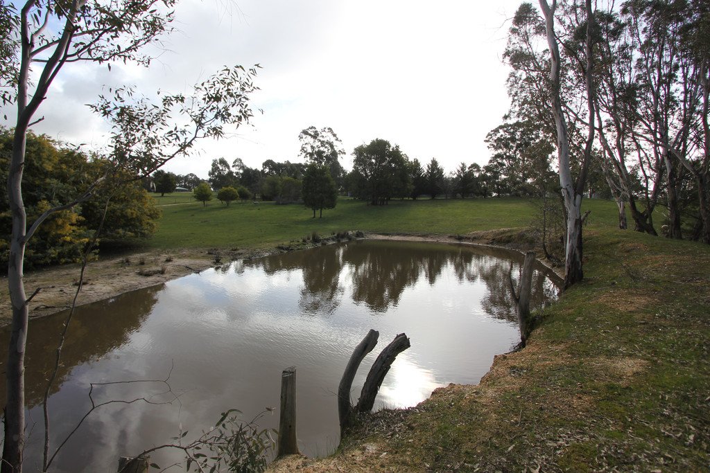 50 Riflerange Road LEXTON 7