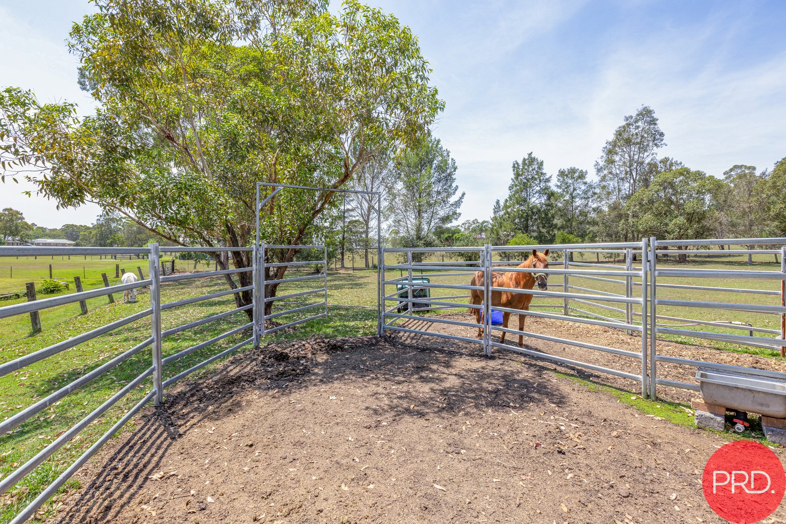 50 River Road WINDELLA 28