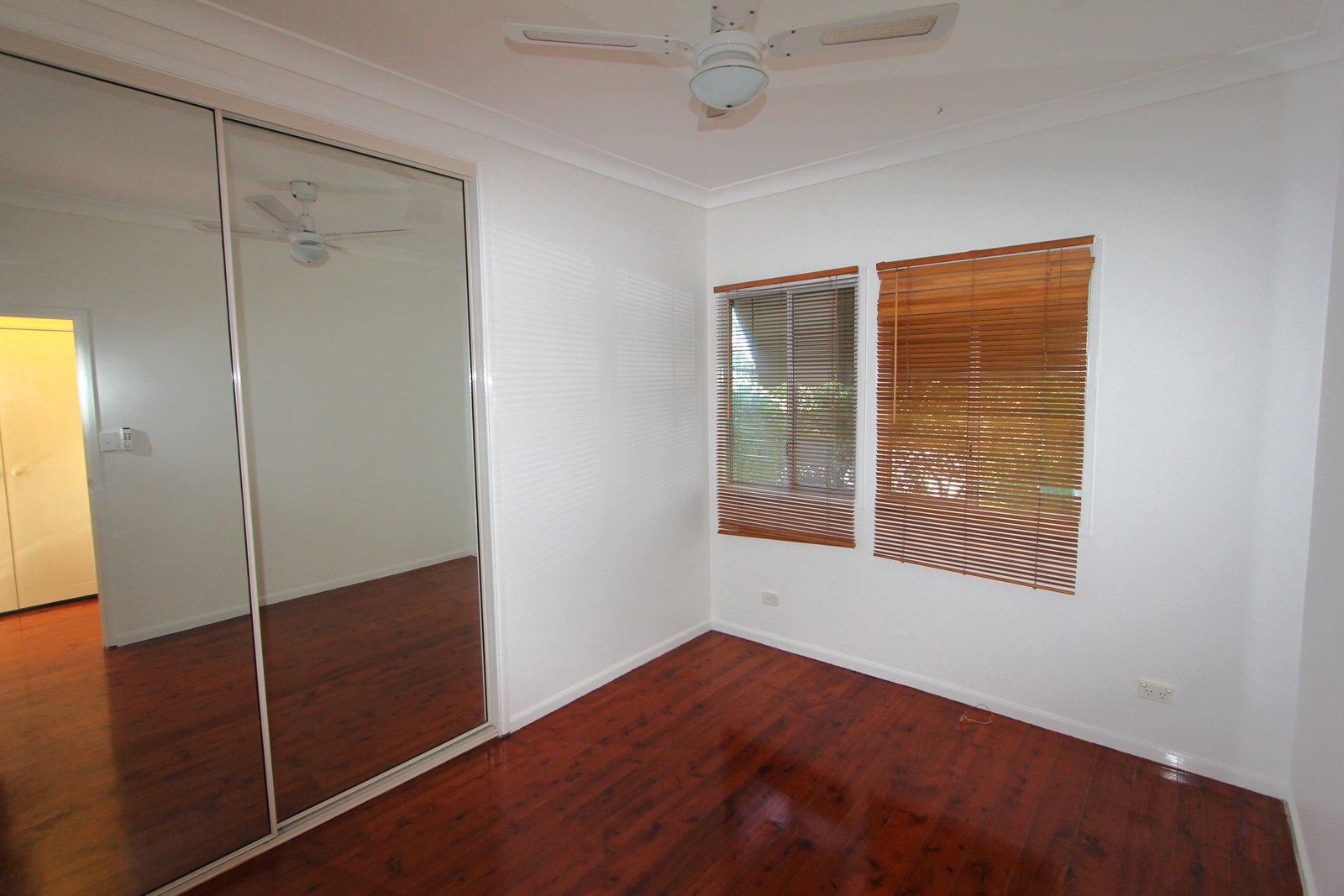 50 Robert Street LABRADOR 7