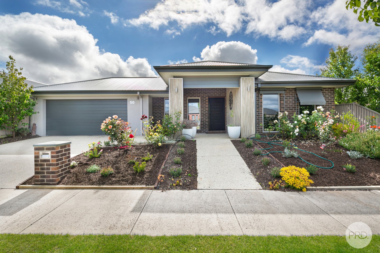 50 Sorrento Drive ALFREDTON 1