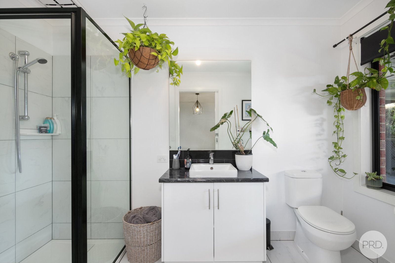 50 Urquhart Street GORDON 5