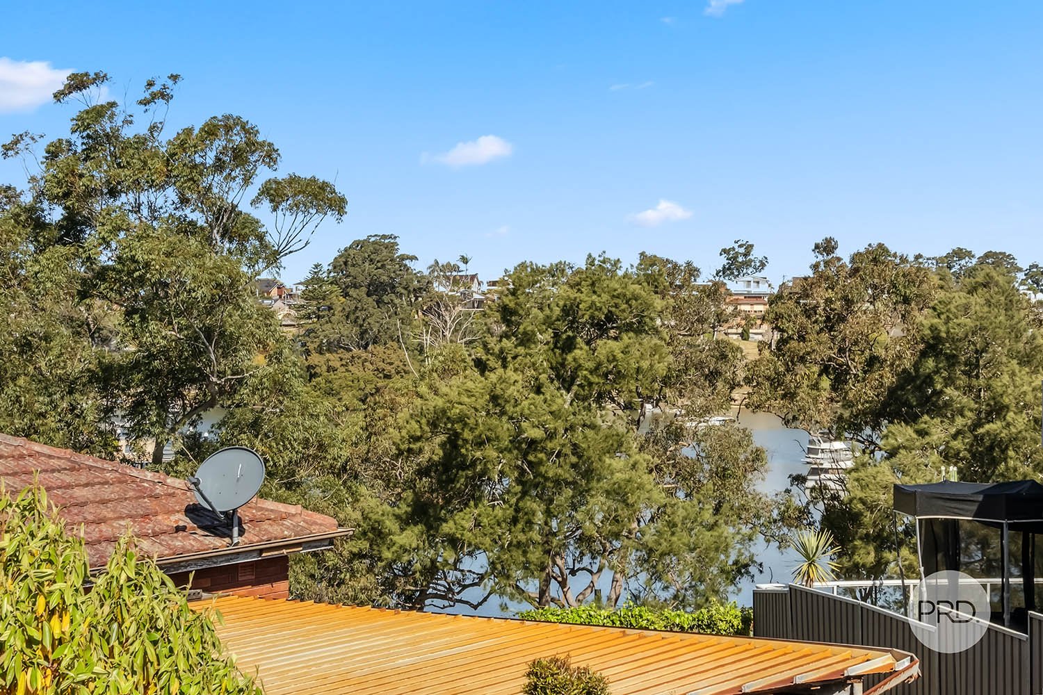 50 West Crescent HURSTVILLE GROVE 4