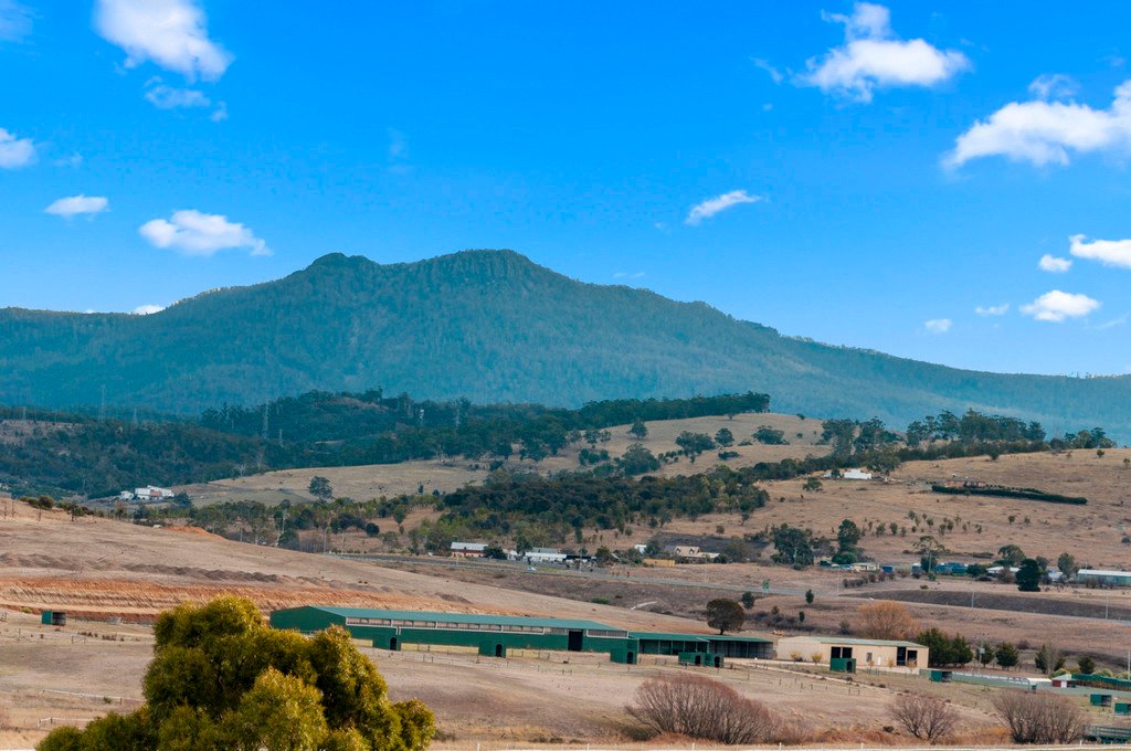 500 Briggs Road BRIGHTON 14