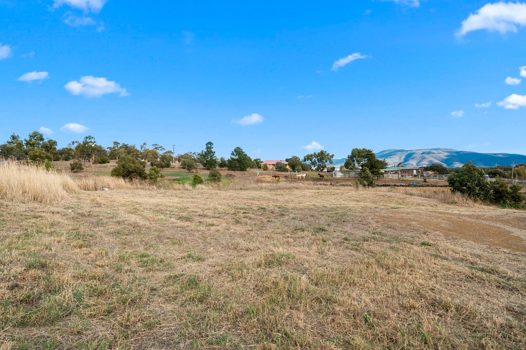 500 Briggs Road BRIGHTON 25