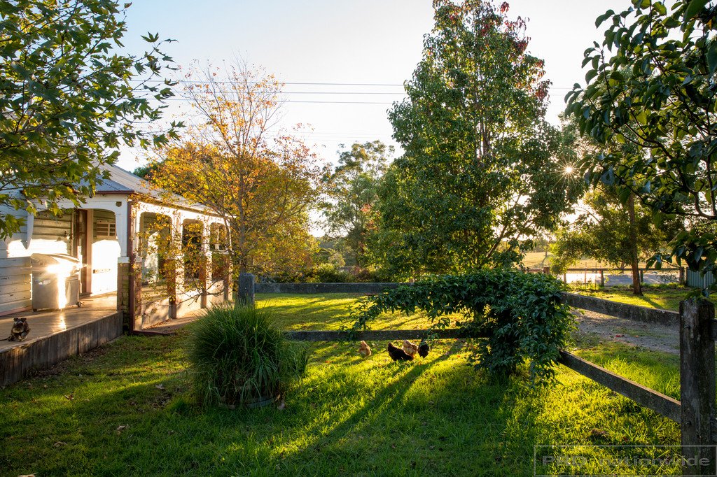 501 Cessnock Rd  GILLIESTON HEIGHTS 1