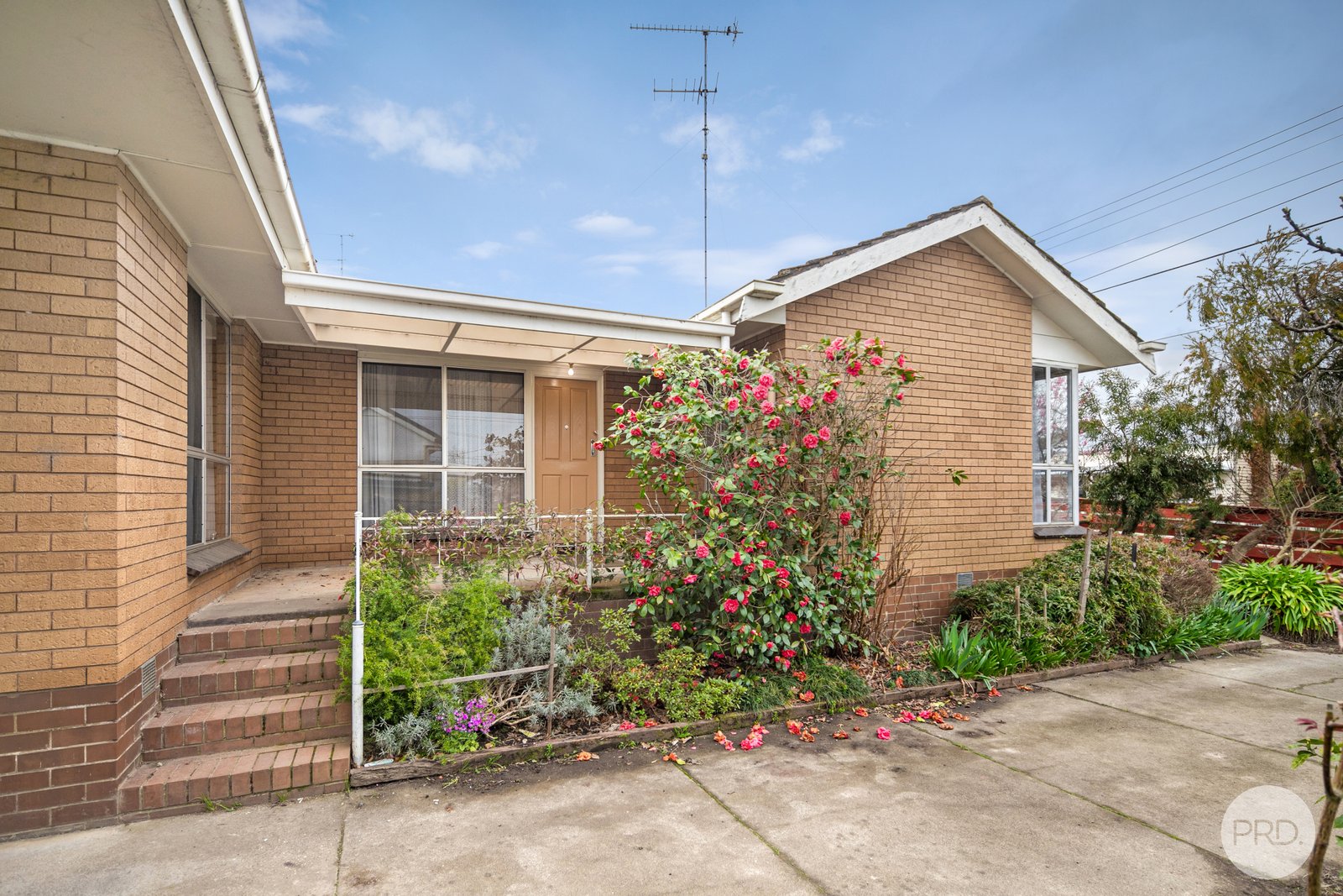 501 Havelock Street SOLDIERS HILL 1