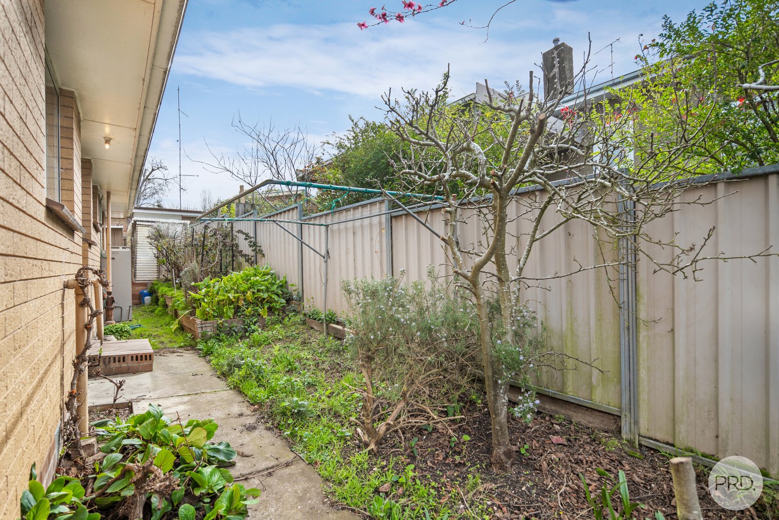 501 Havelock Street SOLDIERS HILL 11