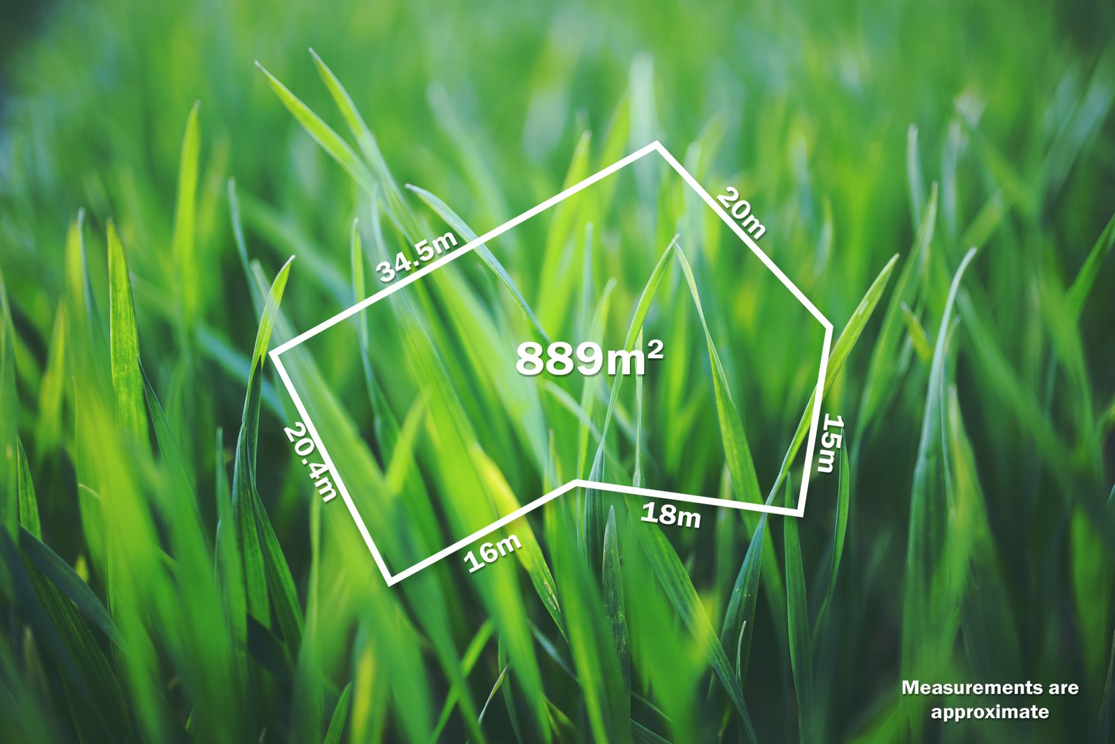 501 High Street LEARMONTH 7
