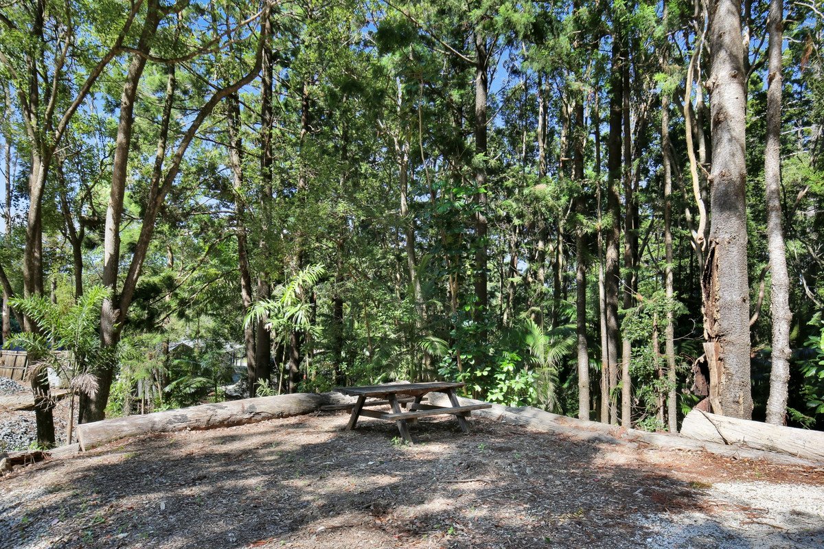 501 Tallebudgera Connection Road Currumbin Valley 13