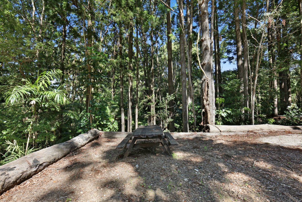 501 Tallebudgera Connection Road Currumbin Valley 14