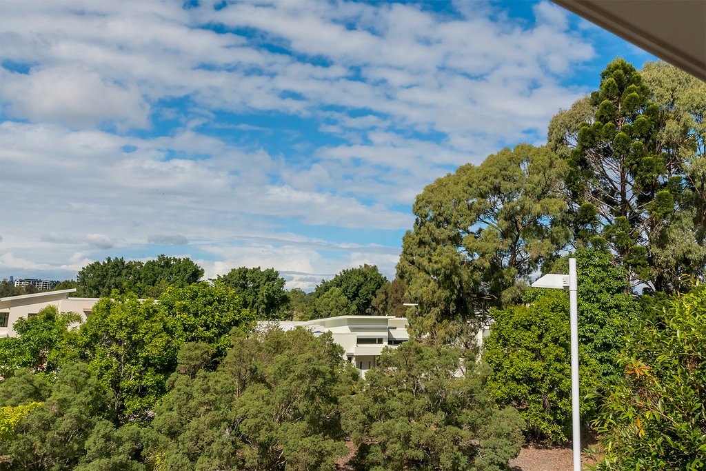 5013 Riverwood Grove BENOWA 16