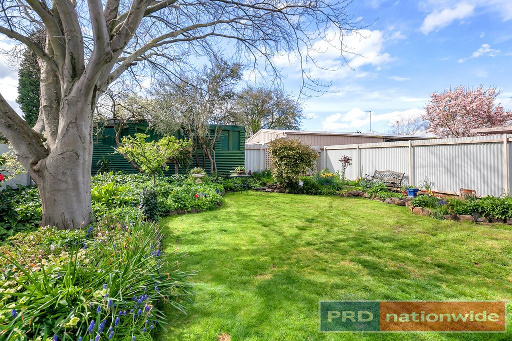 502 Gregory Street SOLDIERS HILL 15