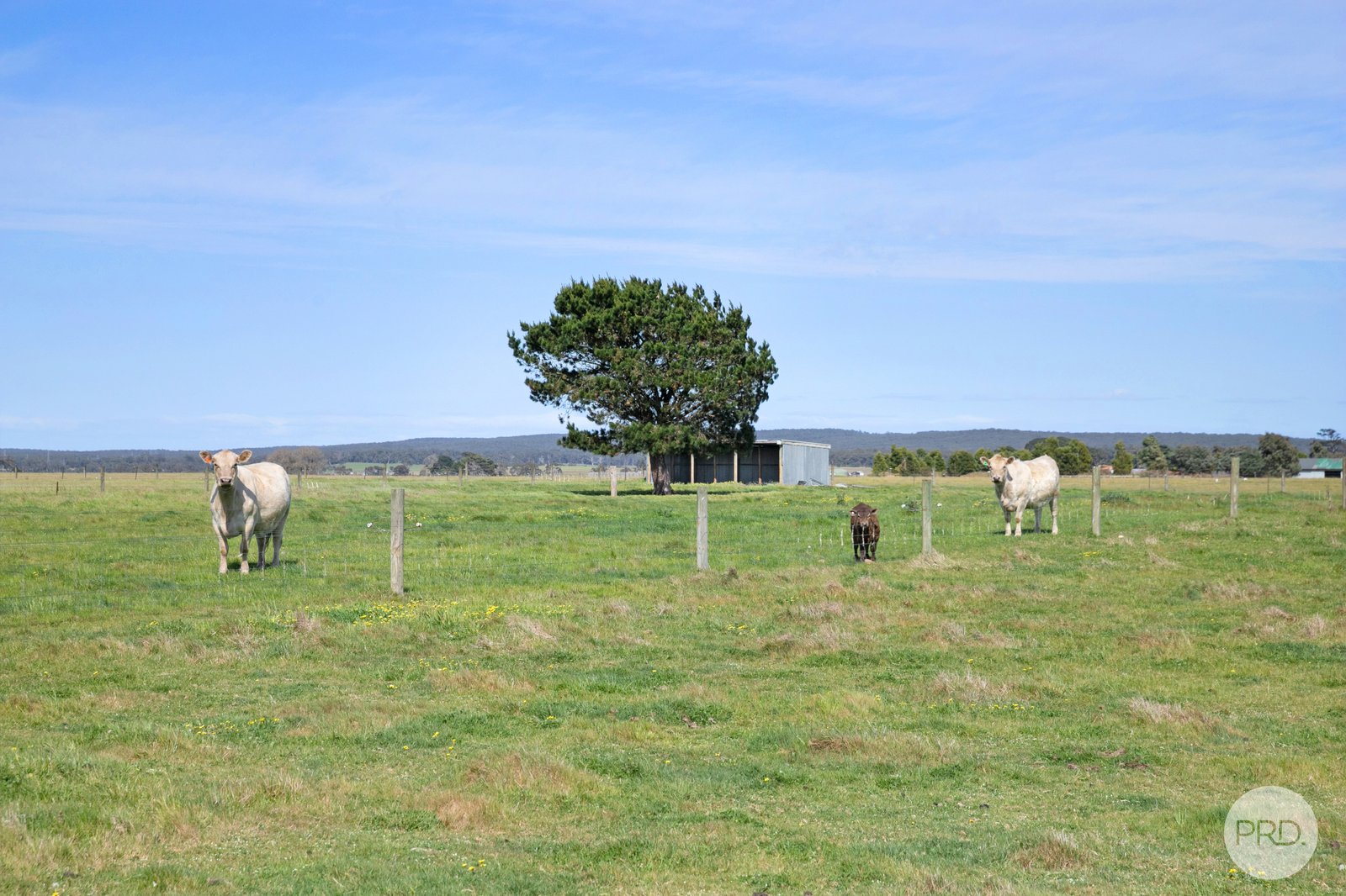 5025 Colac-Ballarat Road CAMBRIAN HILL 4