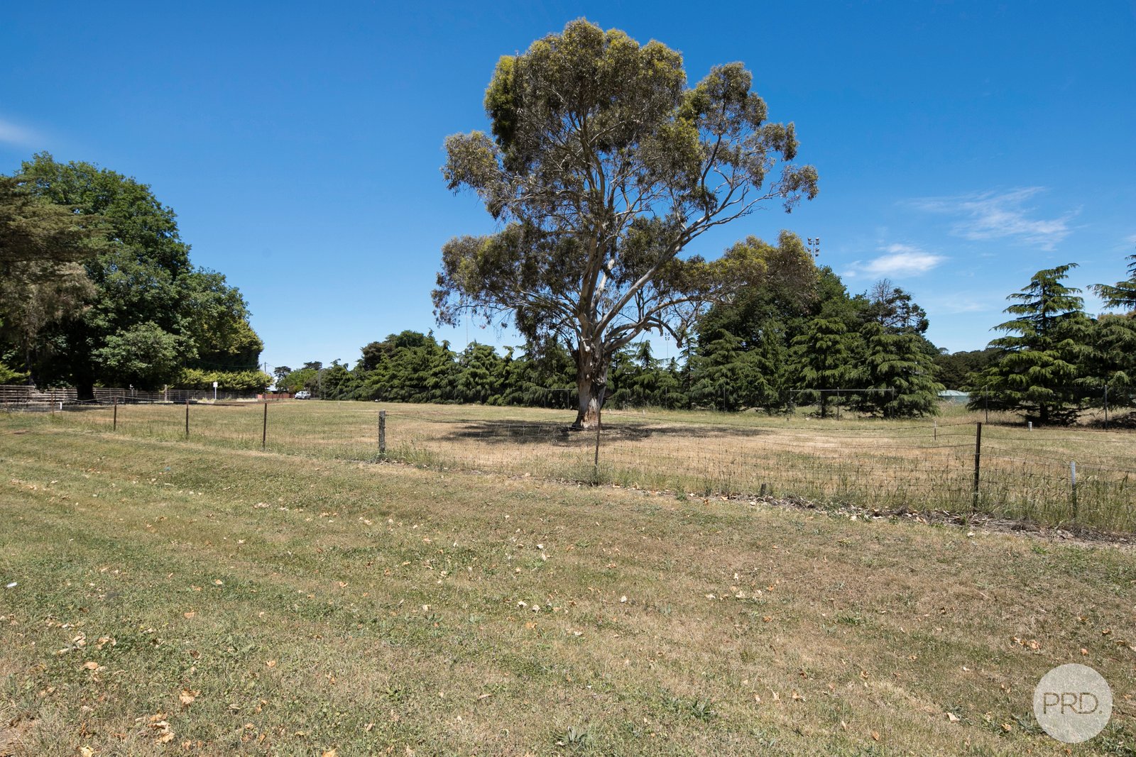 503 High Street LEARMONTH 4