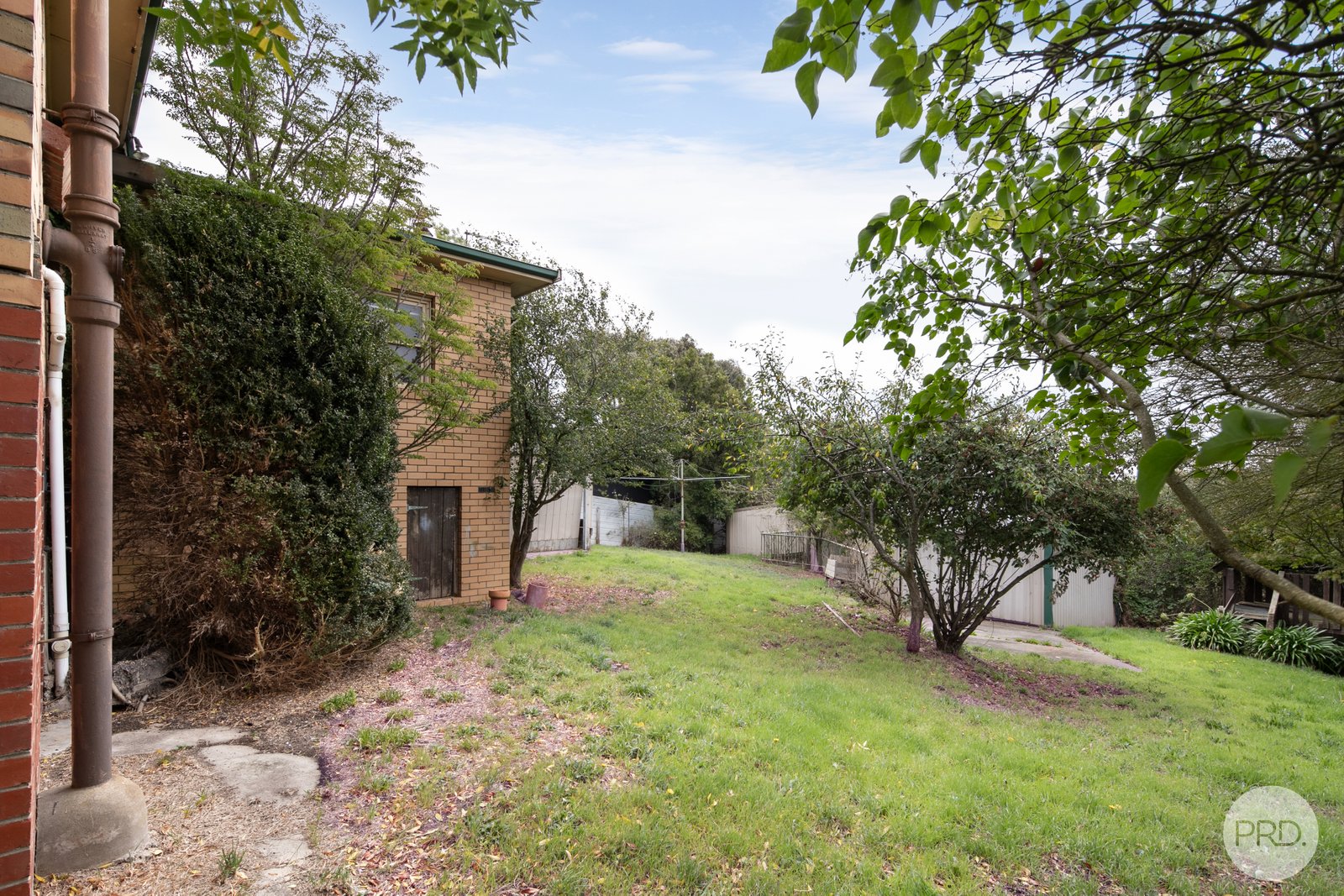 503 Nicholson Street BLACK HILL 10