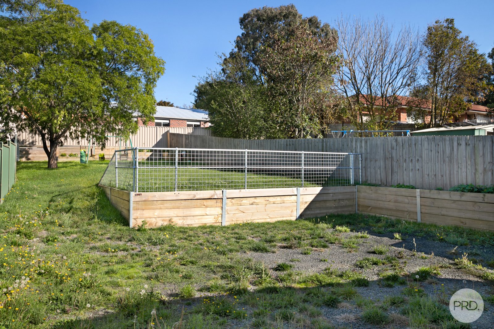 505 Havelock Street SOLDIERS HILL 20