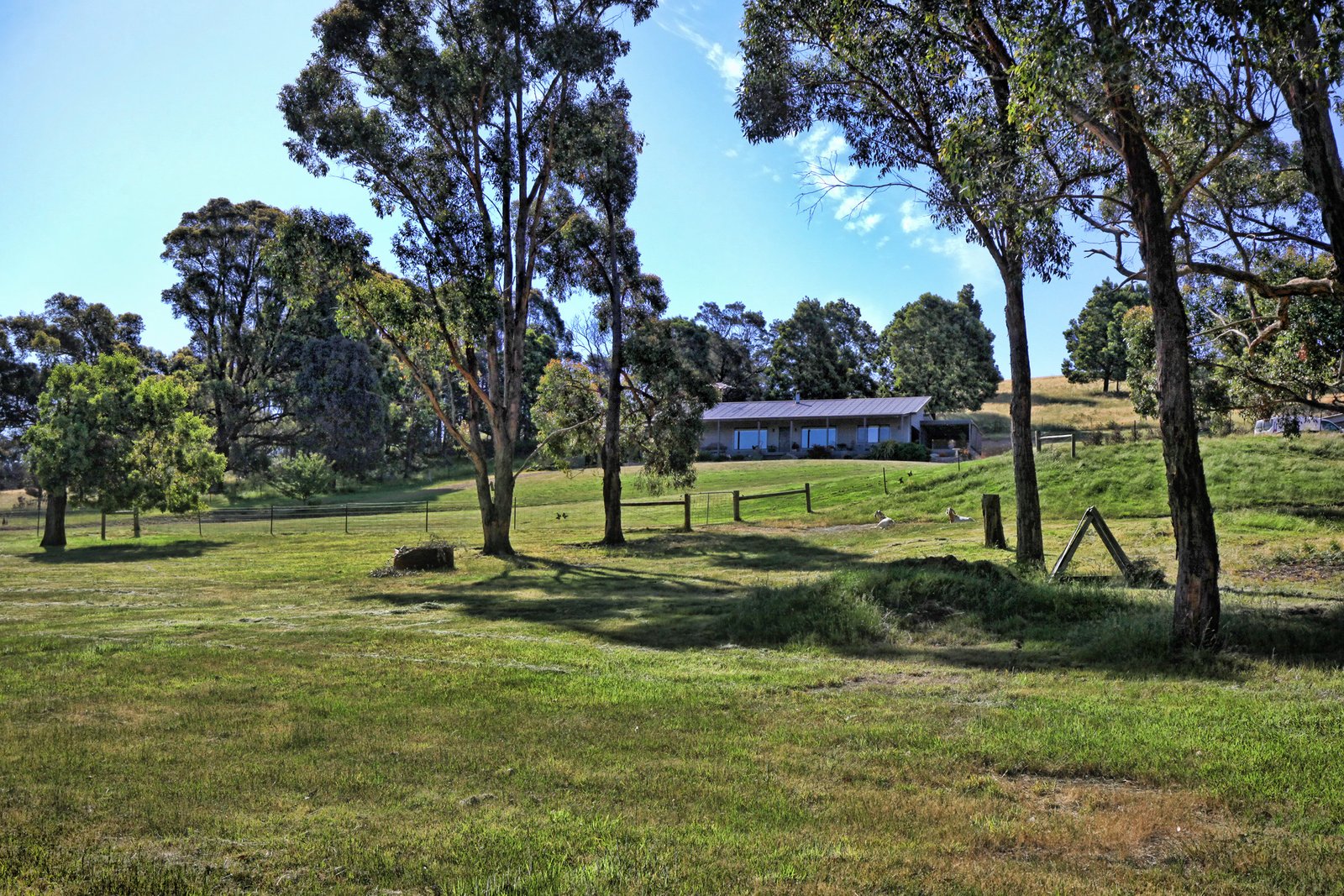 Real Estate and Property in 505 Pyalong Road, Lancefield, VIC