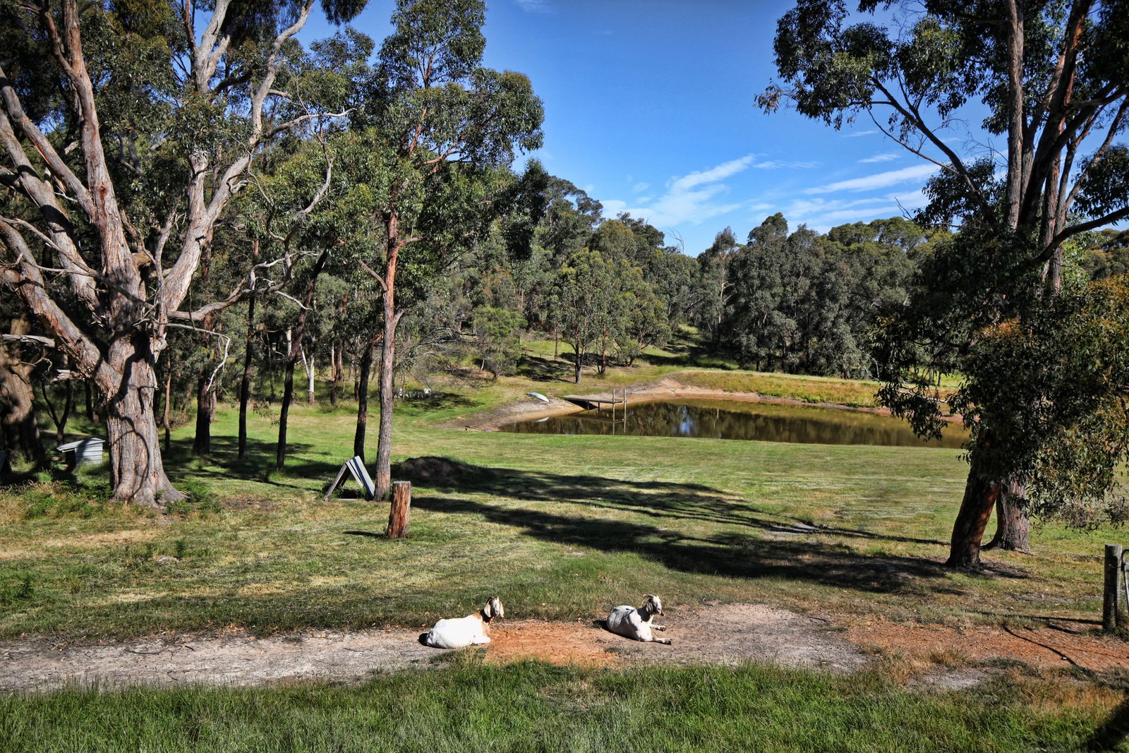 Real Estate and Property in 505 Pyalong Road, Lancefield, VIC