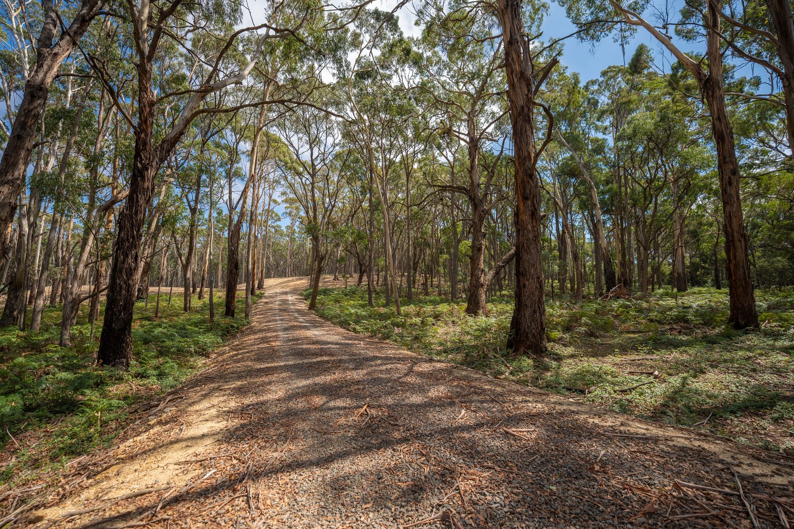 Gallery: 5055 Midland Highway