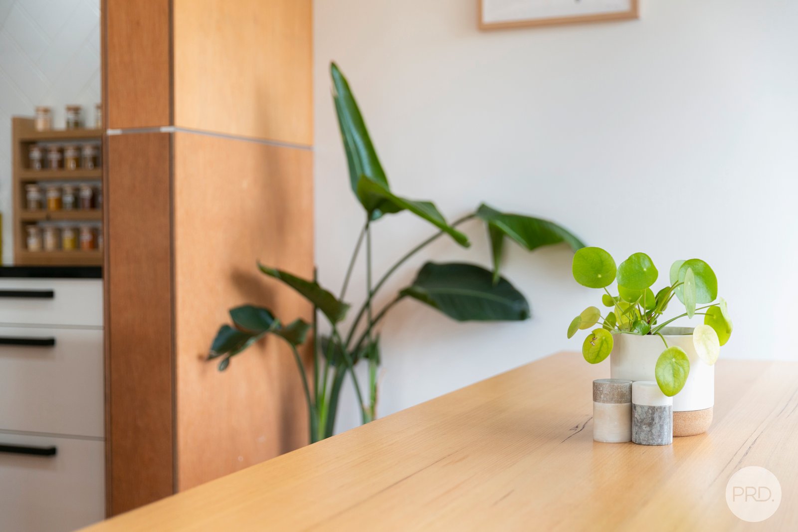 507 Chisholm Street BLACK HILL 4