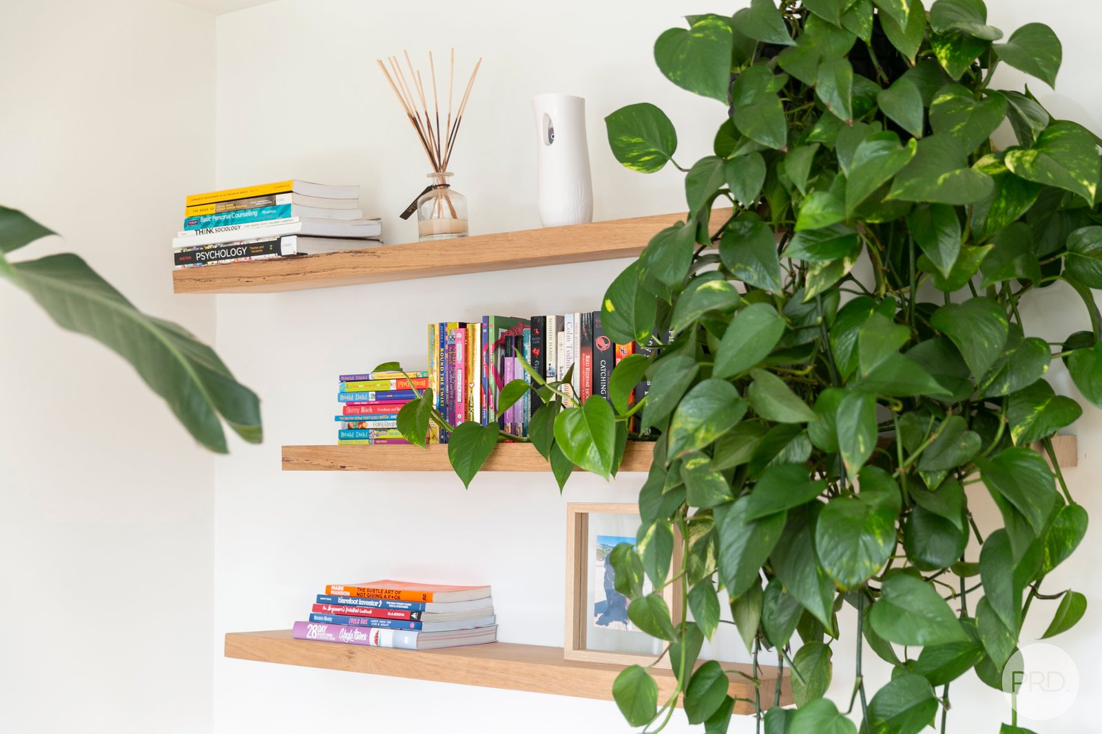 507 Chisholm Street BLACK HILL 14